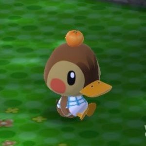 Meet your Posher, Anne